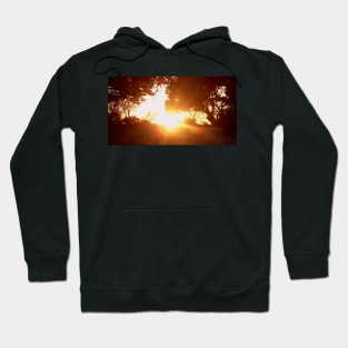 Sunburst Hoodie